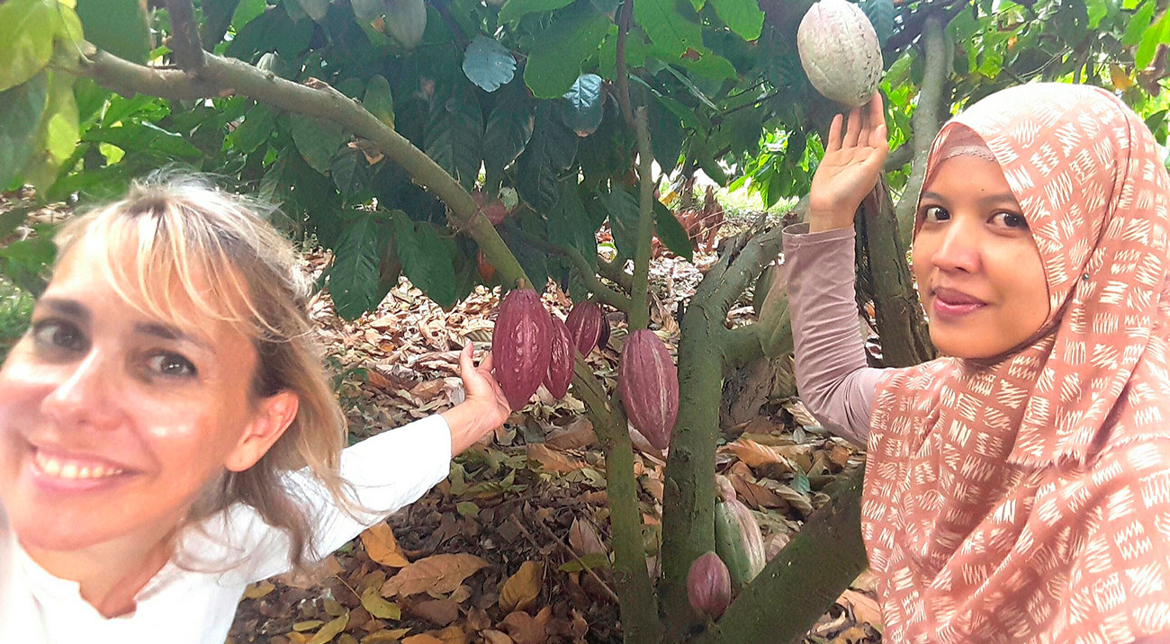 Two women posing next to a cacao tree and touching with their hands on two the cacao fruits.