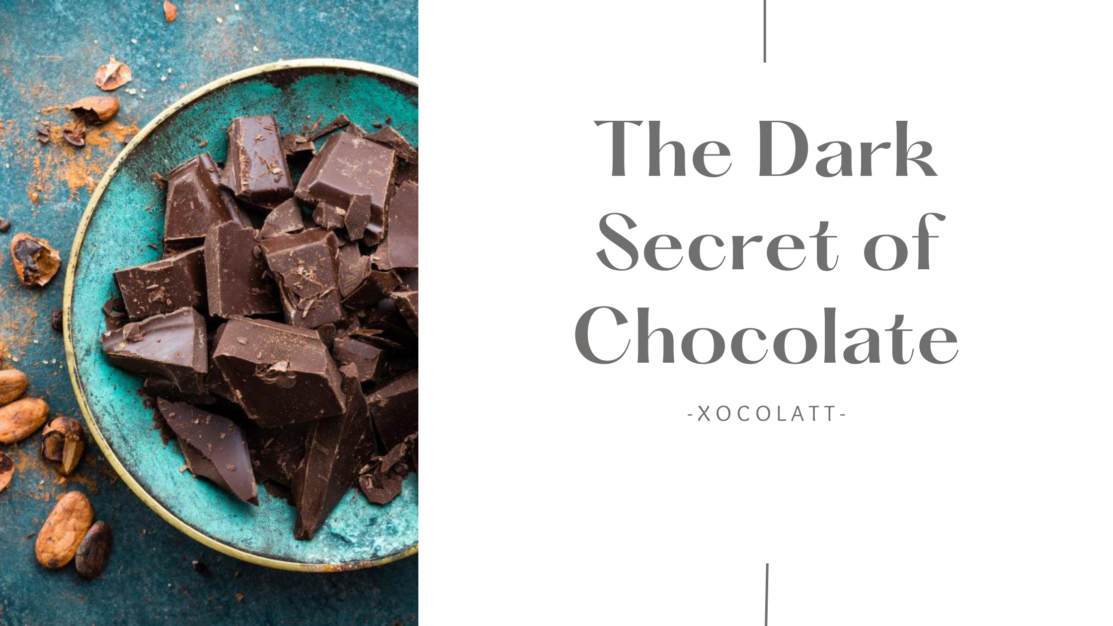 Pieces of dark chocolate in a blue bowl surrounded by cacao beans. Title reads 'The Dark Secret of Chocolate' to offer first glimpse into chocolate health benefits.